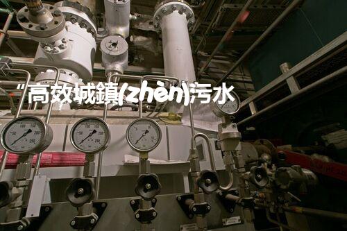 “高效城鎮(zhèn)污水處理流程，守護碧水藍天新篇章”